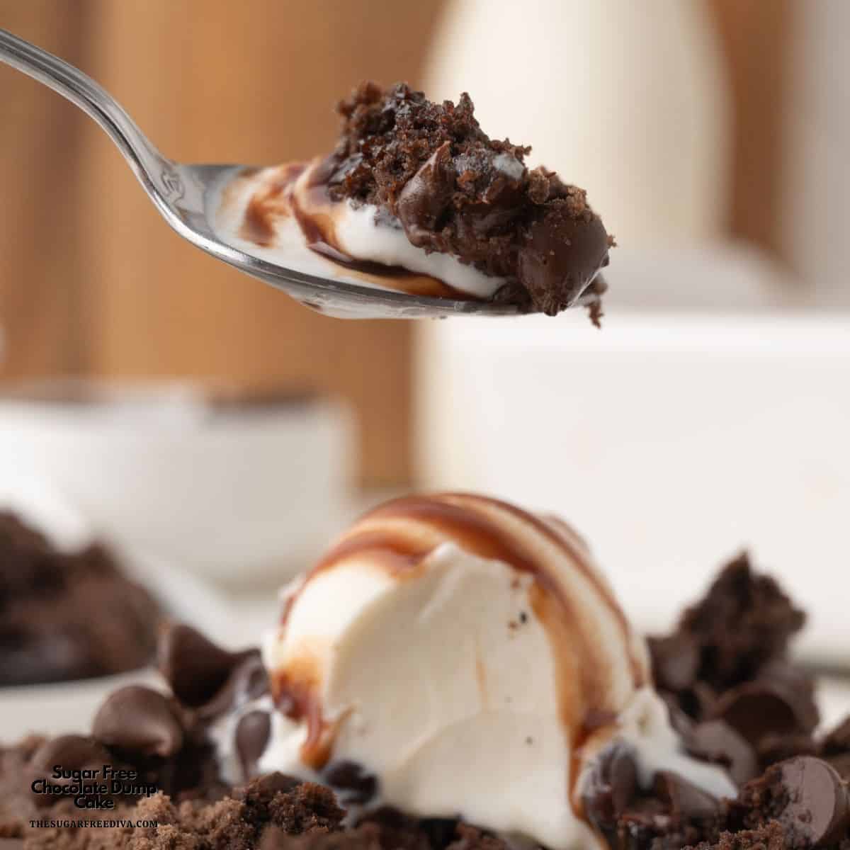 Sugar Free Chocolate Dump Cake, Indulge in this rich, gooey 5-ingredient easy low-glycemic dessert for chocolate lovers. Sugar Free Chocolate Dump Cake, Indulge in this rich, gooey 5-ingredient easy low-glycemic dessert for chocolate lovers.