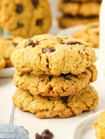 Sugar Free Ranger Cookies