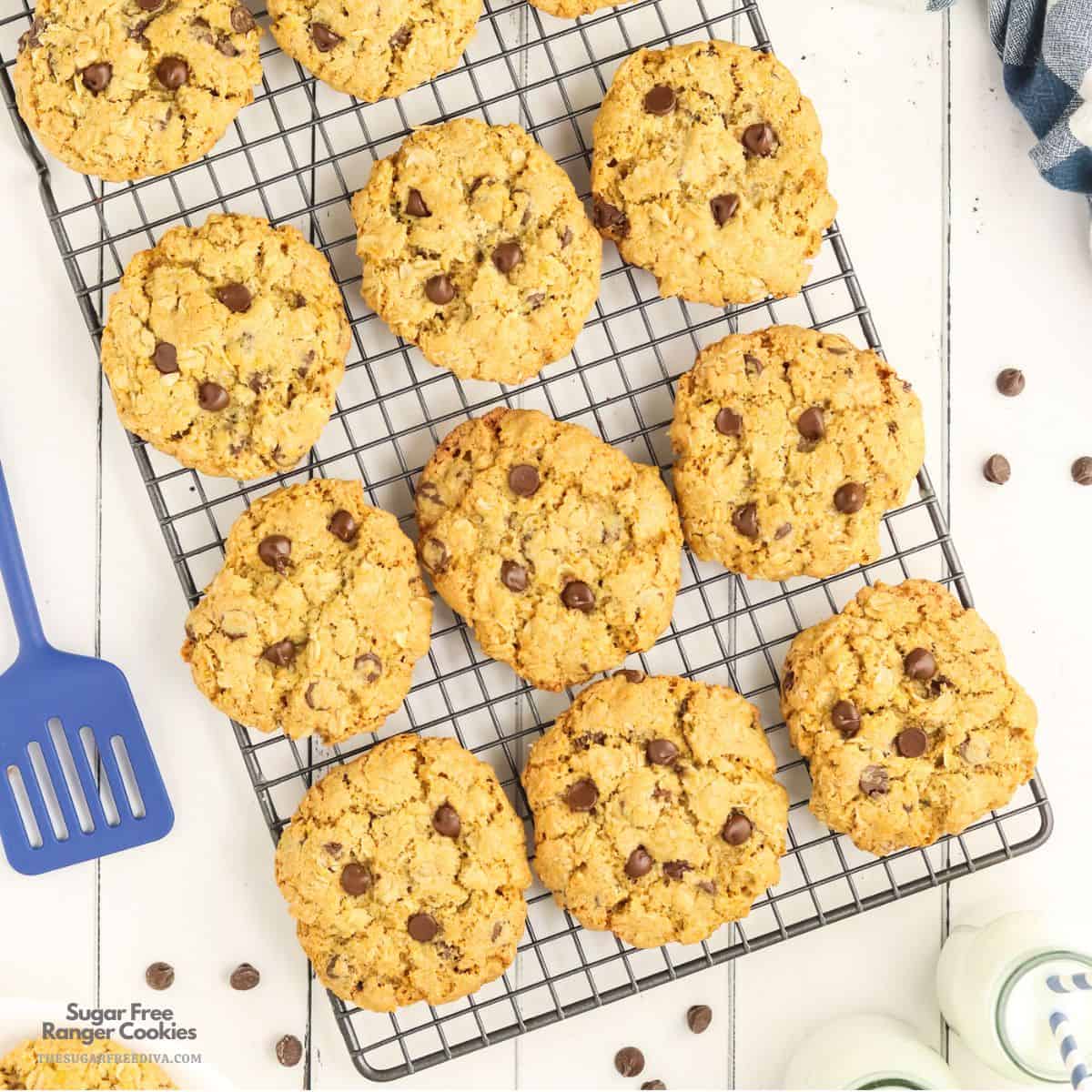 Sugar Free Ranger Cookies, get the recipe for hearty, chewy, and crunchy treats packed with oats, coconut, cornflakes, and chocolate chips. Sugar Free Ranger Cookies, get the recipe for hearty, chewy, and crunchy treats packed with oats, coconut, cornflakes, and chocolate chips.