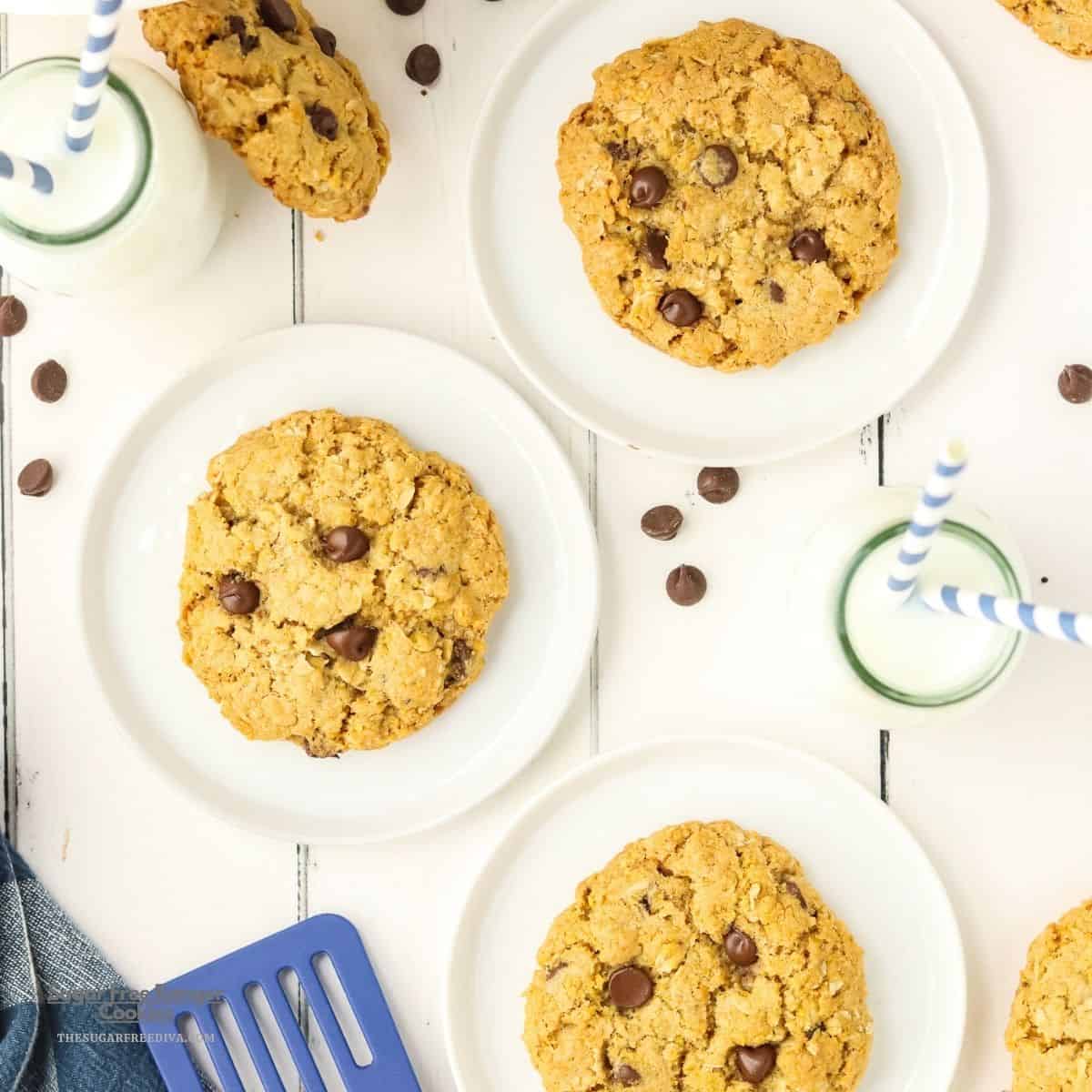 Sugar Free Ranger Cookies, get the recipe for hearty, chewy, and crunchy treats packed with oats, coconut, cornflakes, and chocolate chips. Sugar Free Ranger Cookies, get the recipe for hearty, chewy, and crunchy treats packed with oats, coconut, cornflakes, and chocolate chips.