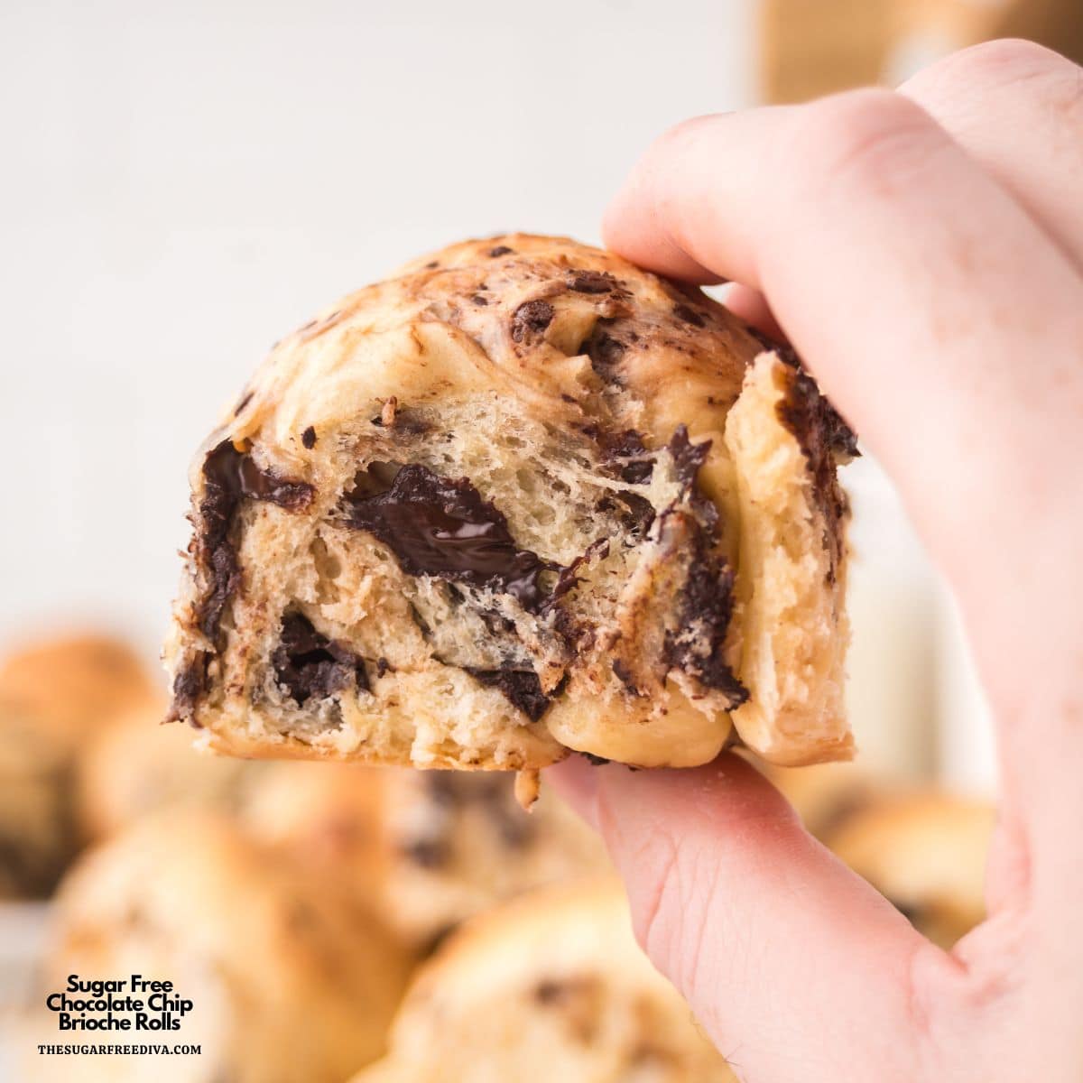Sugar Free Chocolate Chip Brioche Rolls, a no added sugar recipe for buttery, pillowy-soft rolls packed with melty chocolate chips. Sugar Free Chocolate Chip Brioche Rolls, a no added sugar recipe for buttery, pillowy-soft rolls packed with melty chocolate chips.