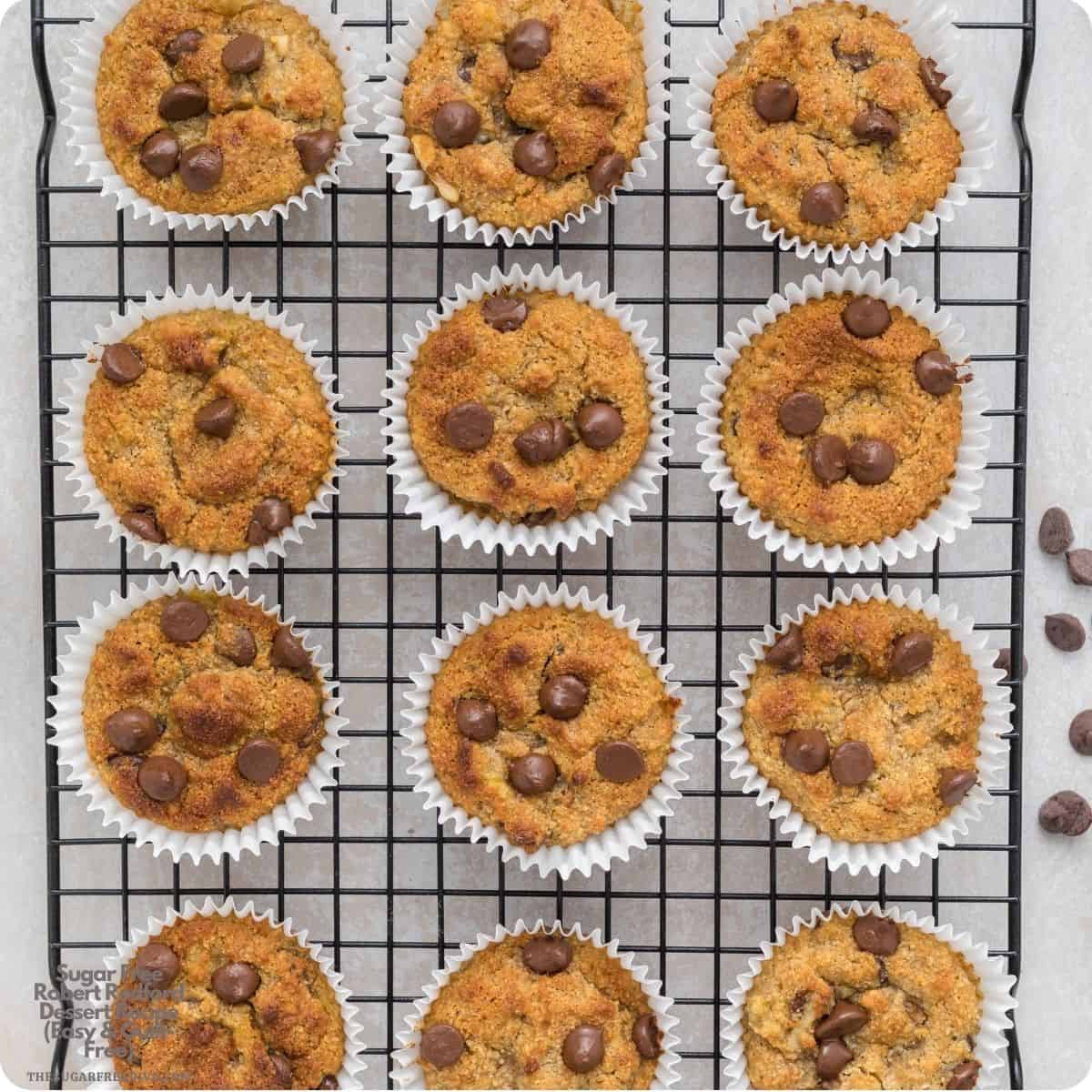 Sugar Free Banana Nut Muffins with Almond Flour loaded with walnuts and gooey chocolate  chips for the ultimate guilt-free treat!