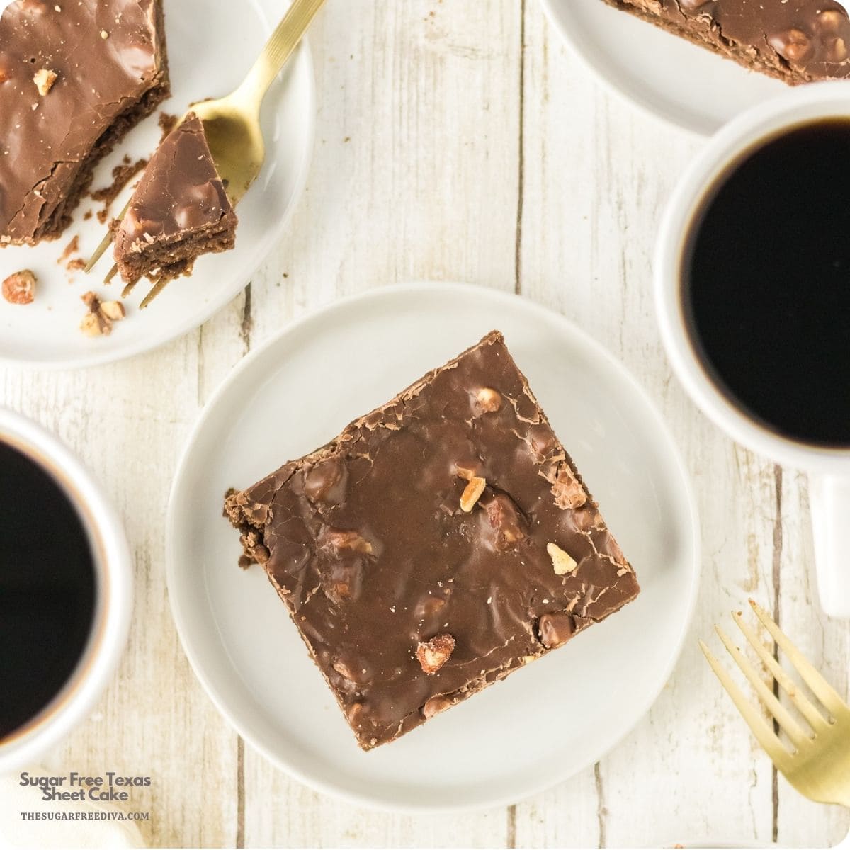Sugar Free Texas Sheet Cake, a no added sugar dessert recipe for a fudgy cake topped with chocolate pecan frosting. Easy and perfect for potlucks, holidays, birthdays, and family gatherings. Sugar Free Texas Sheet Cake, a no added sugar dessert recipe for a fudgy cake topped with chocolate pecan frosting. Easy and perfect!