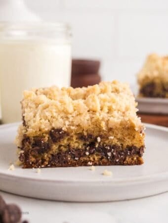 Sugar Free Chocolate Chip Coffee Cake