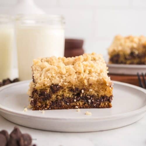 Sugar Free Chocolate Chip Coffee Cake