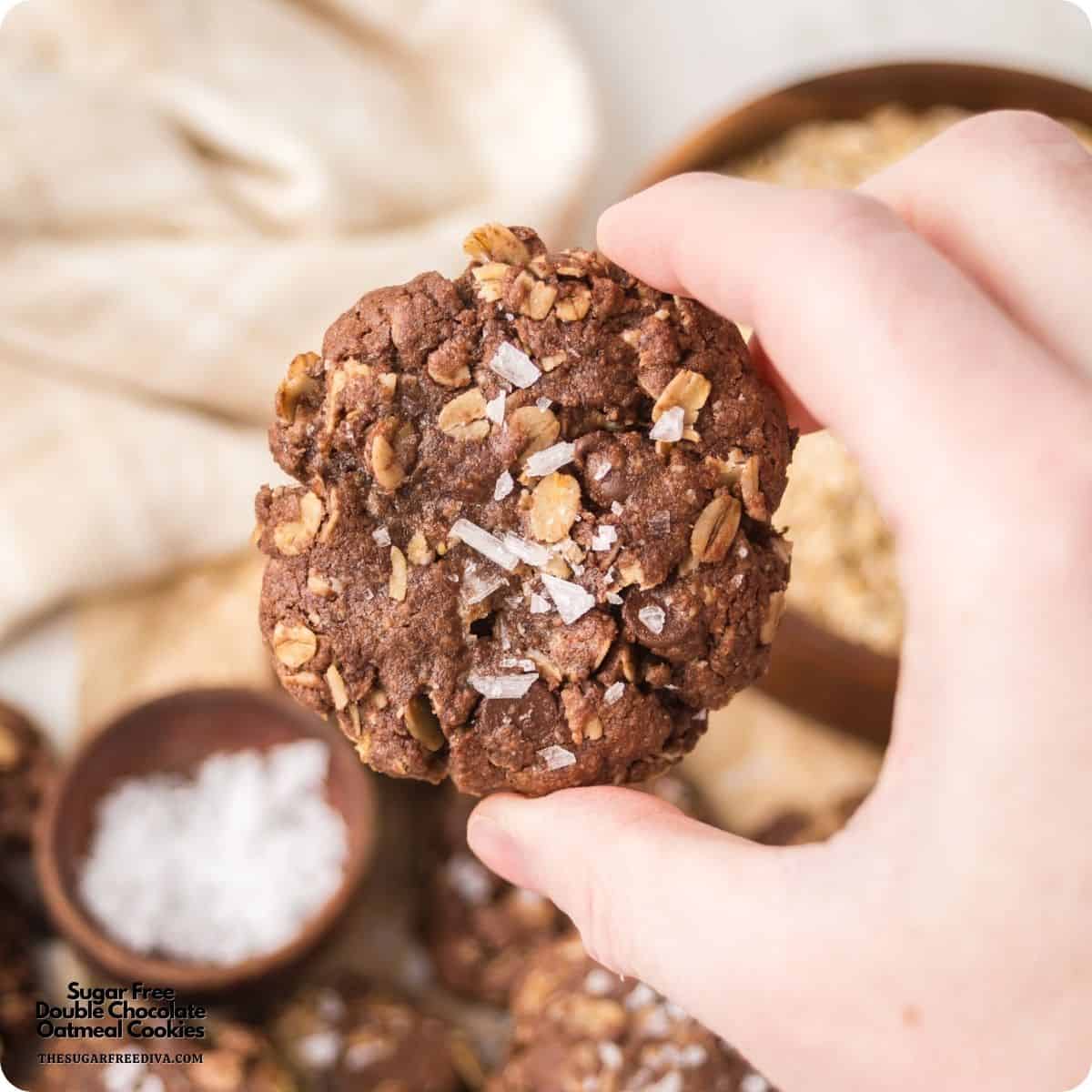 Sugar Free Double Chocolate Oatmeal Cookies are soft, chewy, and loaded with rich chocolate flavor. Perfect for dessert or as a snack. Sugar Free Double Chocolate Oatmeal Cookies are rich, chewy, and packed with chocolate in every bite! Made with oats, cocoa powder, and sugar-free chocolate chips, these easy cookies are perfect for dessert, snacks, or holiday cookie trays